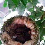 Lucia Henry's photo