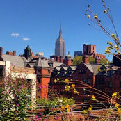 Matthew Brian Thomas's photo