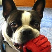 Winnie Brogan Wiggins's photo
