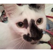 Cheryl Galata's photo
