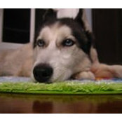 Nadine Cheung's photo
