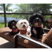 Fran Ferrante's photo