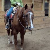 Christene Sandeson's photo