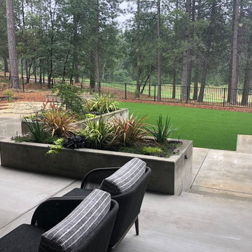 Contemporary Mountain Woodland