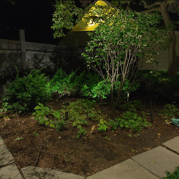illi permanent HK Landscape Lighting area