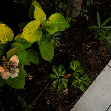 Urban Courtyard