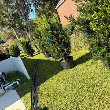 Commercial Landscape Enhancement
