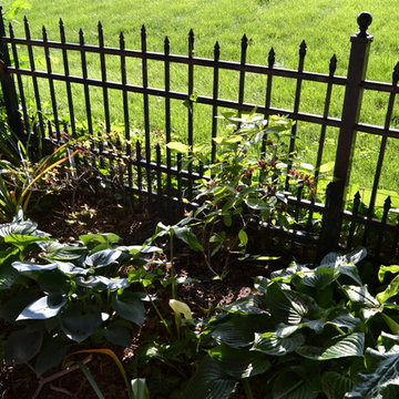 DIY Landscape - Woodland or Shade Gardening