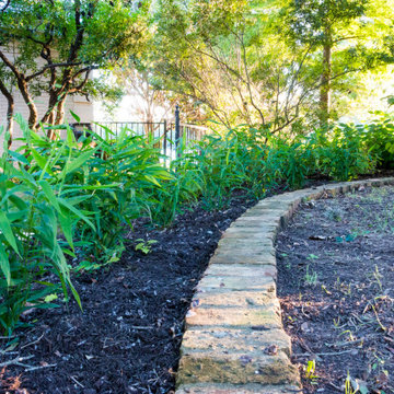 Mount Bonnell Native Oasis