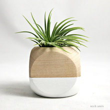 Planters and Vases