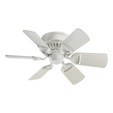 Fans