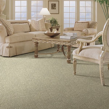 Carpet Inspiration