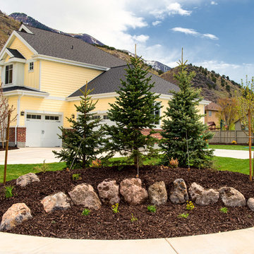 Rock Wall installations