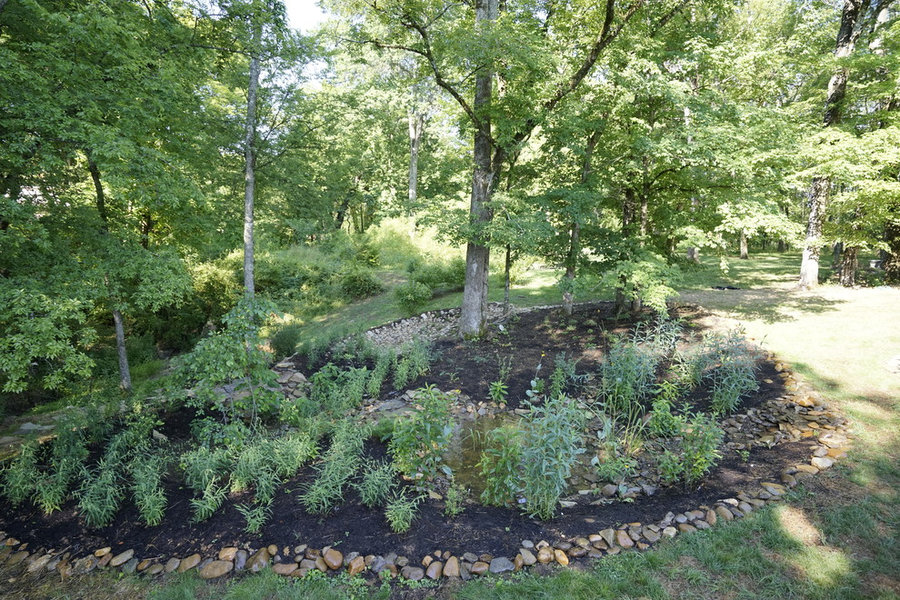 French Broad Rain Garden