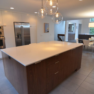 Modern Whole Home Design-Kitchen