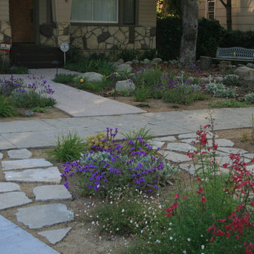 Lawn Removal