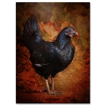 Jai Johnson 'Black Bantam Chicken' Canvas Art, 19 x 14