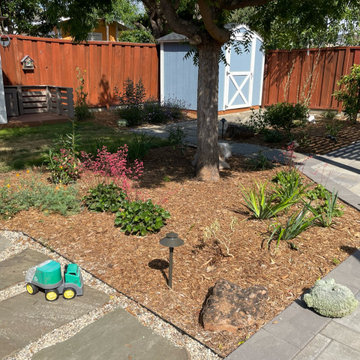California Native Plants- Front and Back Yard Design