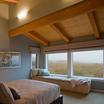 Trione Residence, The Sea Ranch