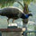 webuser_84055
