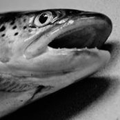 Renee Schumann Reddy's photo