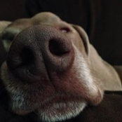 Shanelle Malnar's photo