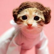 Stefanie Neumann's photo