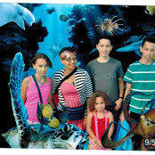 Saliem Kievit's photo