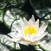 Barbara Poe's photo