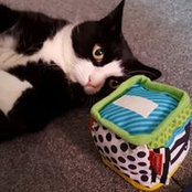 Suzy Fedor's photo