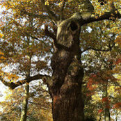 Foto von Ian Howell