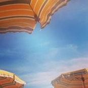 Foto von Alison Ashcraft