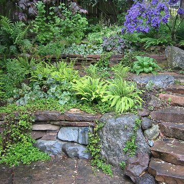 Woodland Garden, Kensington, CA