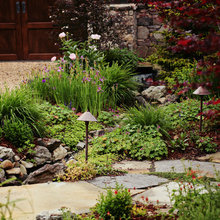 front landscape