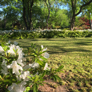 Fort Worth Estate Garden