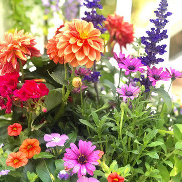 Summer Containers