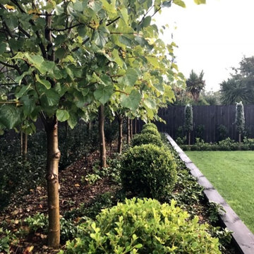 Shapes, Topiaries, clipped back & sides that make a difference in your Garden