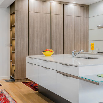Modern modes in an eclectic Brookline, MA abode