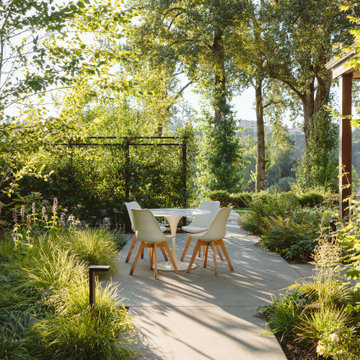 The Willamette River House