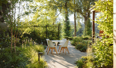 Riverside Landscape Designed for Exploration and Wonder