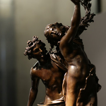 Art Exhibition