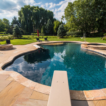 Freeform Pool in Libertyville, IL