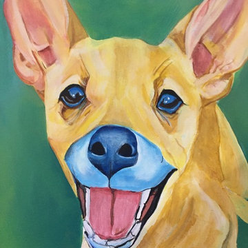 Pet Portraits