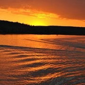 Terry Partridge Dickinson's photo