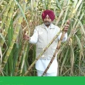 Photo de Vikram Jit Singh Thind