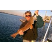 Chris Whitaker's photo