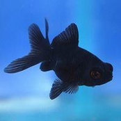 Kainyu Muchungi's photo