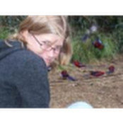Robin's photo