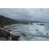 Michelle Chiu's photo