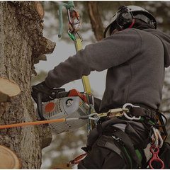 DGRZ Tree Service